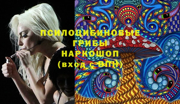 амф Абаза