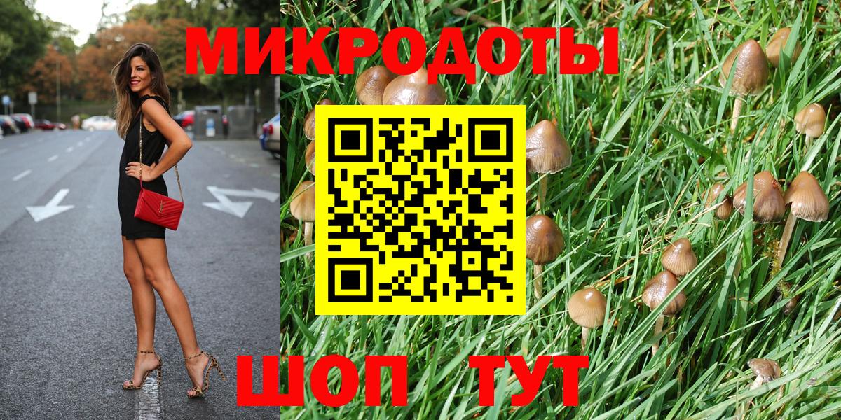 Псилоцибиновые грибы Magic Shrooms Мурино