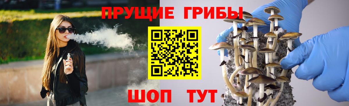 Псилоцибиновые грибы Magic Shrooms  Вход с VPN  Мурино 